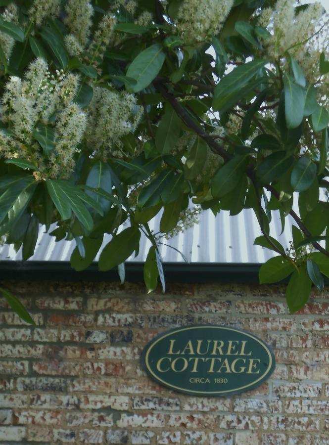 Laurel Cottage Richmond Eksteriør bilde